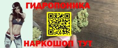 шишки Рязань