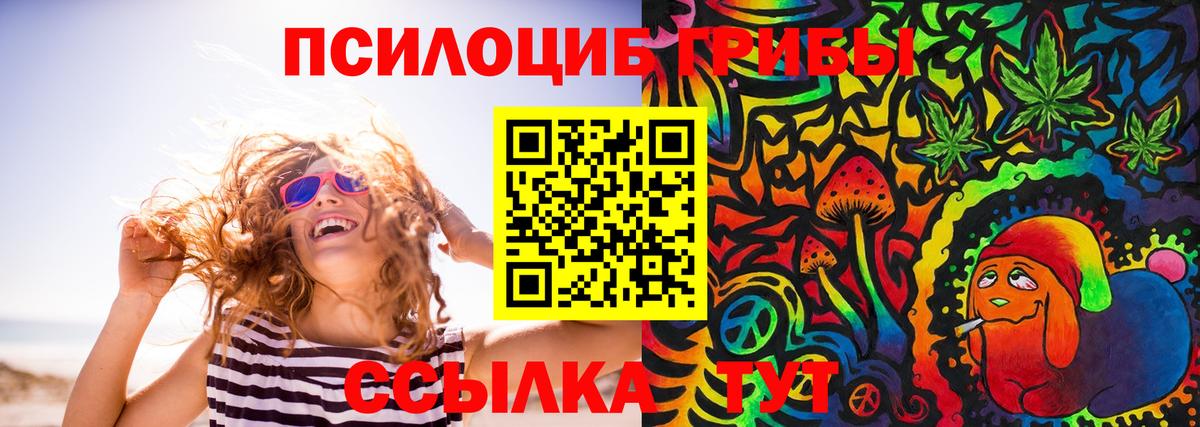 Новороссийск  Галлюциногенные грибы Psilocybe  Вход с VPN  Галлюциногенные грибы Magic Shrooms 